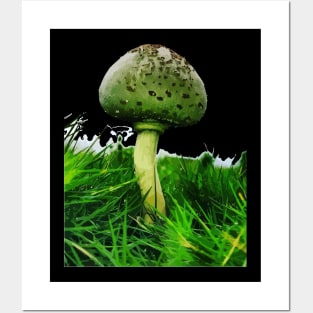 mushroom Posters and Art